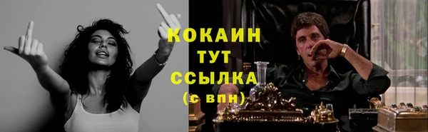 гашик Заводоуковск