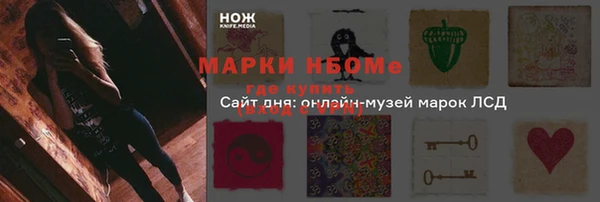 гашик Заводоуковск