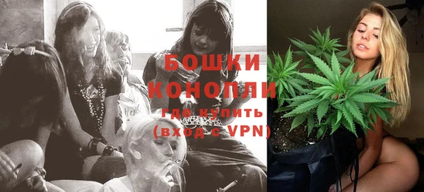 гашик Заводоуковск